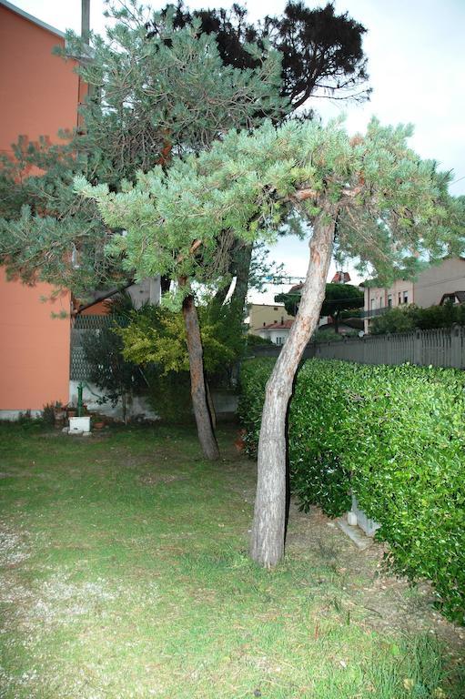 Villa Linda Affittacamere Bellaria-Igea Marina Zewnętrze zdjęcie